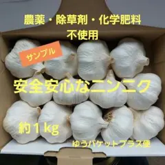 安全安心なニンニク　ゆうパケットプラス便のサムネイル
