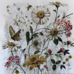 Item thumbnail for item 1eb940df-e6da-494d-9f3b-19f183886b74