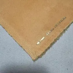 Item thumbnail for item 040bed60-41f6-4af6-ba36-3ef084e19361