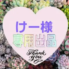 けー様 リクエスト 4点 まとめ商品