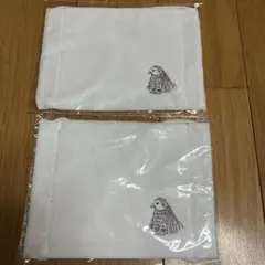 Item thumbnail for item 67c5bd5f-8d99-47ff-aef6-75c1dba5c151