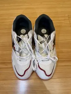 体育館シューズ 体育器具