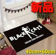 Item thumbnail for item 4d9b6fc8-5f6c-485e-870c-600679215607