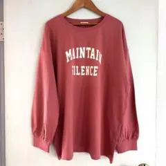 未使用　ハニーズ　長袖ロゴTシャツ　コットン100 カットソー