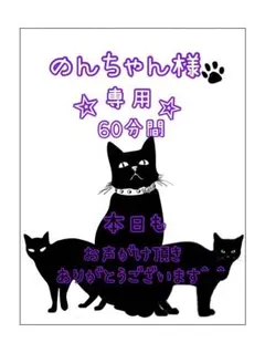のんちゃん様専用出品　購入前に時間調整連絡お願いいたします