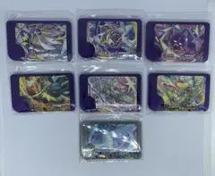 専用　ポケモンフレンダ　ベストタッグ第1弾　まとめ