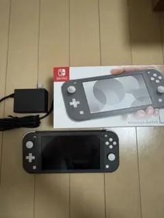 Nintendo Switch Lite グレー 本体 ACアダプター付き