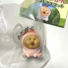 こびとづかん　めじるしアクセサリー　カクレモモジリ