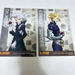 Dr.STONE DMM桜スクラッチ ミニブロマイド ゼノ＆スタンリー - メルカリ