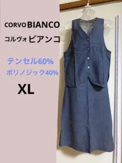 デニムブルー　ストライプ　CoRVO BIANCOビアンコ　ベスト&スカート