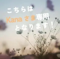 【kanaさま専用】