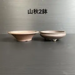 2026年最新】山秋 鉢の人気アイテム - メルカリ