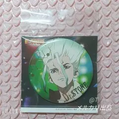 Dr.STONE SPARK OF SCIENCE 缶バッジ 花火 石神 千空 - メルカリ