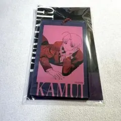 ✨ 銀魂 ✨ 大銀魂展 アクリルバッジ 神威 希少品 レア 美品 ✨ 銀魂 ✨ 大銀魂展 アクリルバッジ 神威 希少品 レア 美品 銀魂 大