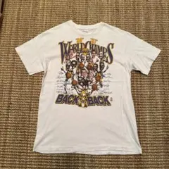 ビンテージ/米国購入/激レア】チャンピオン テキサス大学ダラス校FB T 