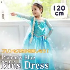 アナ雪　ディズニー　エルサ ドレス コスプレ 子ども 120サイズ