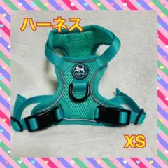 Item thumbnail for item 5cbdba38-9ff7-421d-b1cd-d20ab3a04443