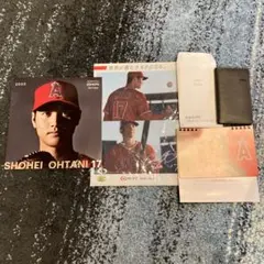 三菱ufj 大谷翔平　カレンダー（2種類）クリアファイル・ダイアリー　4点セット