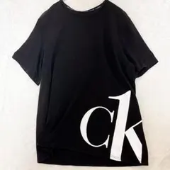 美品 カルバンクライン CKロゴ オーバーサイズTシャツ XLのサムネイル