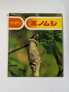 2026年最新】ミノムシの人気アイテム - メルカリ