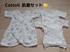 Cottoli バースデイ 肌着3枚セット 新生児 50~60㎝ コンビ肌着