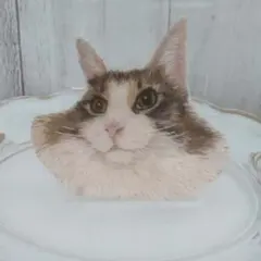 ハンドメイド 刺繍 猫ちゃん