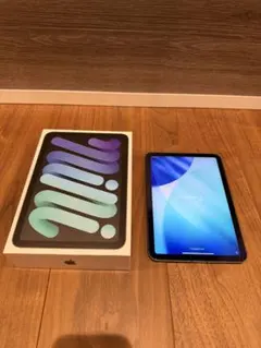 iPad mini 第6世代 Wi-Fi＋Cellular 256GB