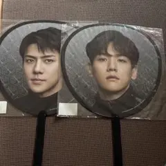 EXO セフン　うちわセット EXO PLANET #6 EXHorizon うちわ D.O - メルカリ