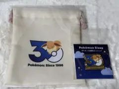 ポケモンスリープ イーブイ ステッカー キーホルダー 巾着 コースター