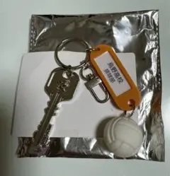 ハイキュー 高校名付き鍵チャームキーホルダー 烏野高校