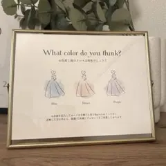 結婚式 ドレス色当てクイズ セット商品　額・タグ・袋