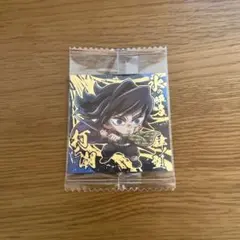 鬼滅の刃 にふぉるめーしょん14 冨岡義勇