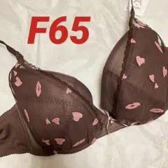 エーバイアンフィ　ブラジャー単品　ブラウン系　Fカップ　ワコール◎