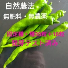 nenemo様 リクエスト 3点 まとめ商品