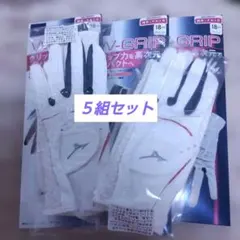 ミズノ W-GRIP ゴルフグローブ レディース 両手 18cm バラ売りありのサムネイル