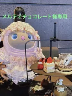 メルティチョコレート様専用ページ