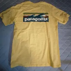 廃盤　パタゴニアBOARDSHORT LOGO POCKET TシャツポケットT