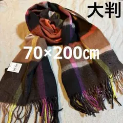 新品　アナスイ　ロゴ刺繍チェック大判ストール・マフラー「70×200㎝」③のサムネイル