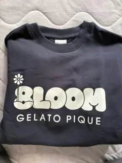 Item thumbnail for item af744b64-348d-4fe2-8f29-7efb872d9f1f