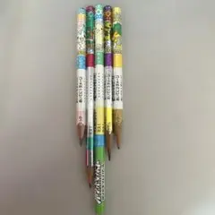 ポケットモンスター DP バトル鉛筆 ピカチュウ エレキブル ドダイトス 等HB