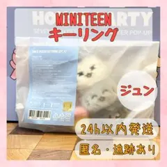 ジュン MINITEEN セブチ ポップアップ ぬいぐるみ キーリング
