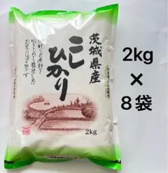 福島県産 こしひかり 100% 20kg 令和7年 新米 送料無料 - メルカリ