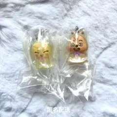 StrayKids ガチャ めじるしアクセサリー