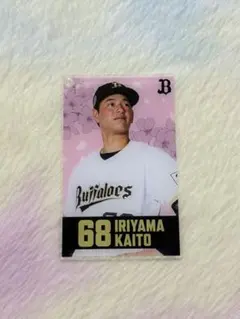 【選手支給品】オリックス バファローズ ゲーマージャケット ＃46 本田仁海選手 オリックス・バファローズ 本田 仁海 選手情報 プロ野球｜スポーツ情報