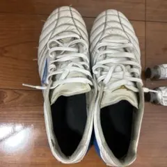 モナルシーダネオ3