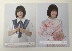 Item thumbnail for item 0b0b957a-ca52-47f7-9b88-2eb17d8248c7