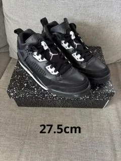 Air Jordan スパイジーク LOW 010BLACK/White