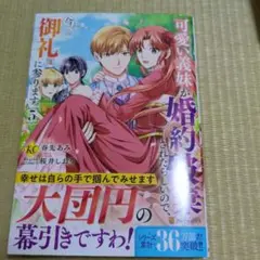 可愛い義妹が婚約破棄されたらしいので、今から「御礼」に参ります。(5)