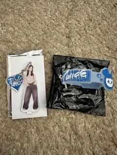 TWICE ツウィ グッズ2種