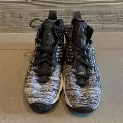 NIKE LEBRON 15 バスケットボールシューズ